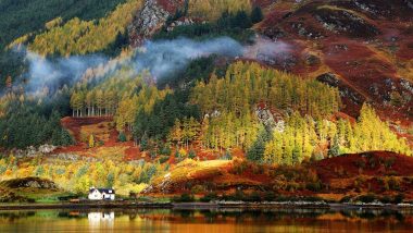 Learn Scottish Gaelic Online – Level 1 Learn Scottish Gaelic Online – Level 1